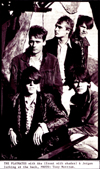theplaymates